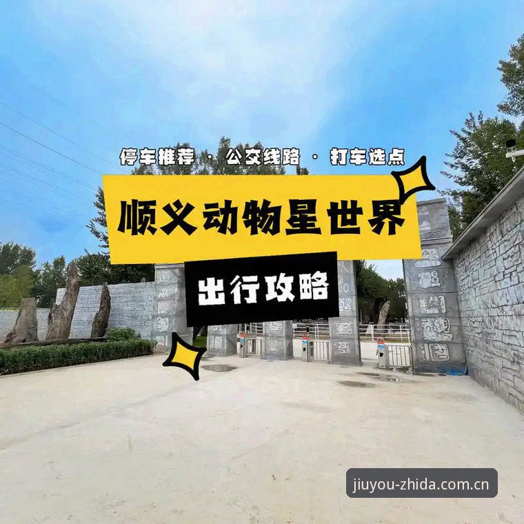 九游娱乐平台最新动态：一站直达更省心CN网页登录，告别绕路时代